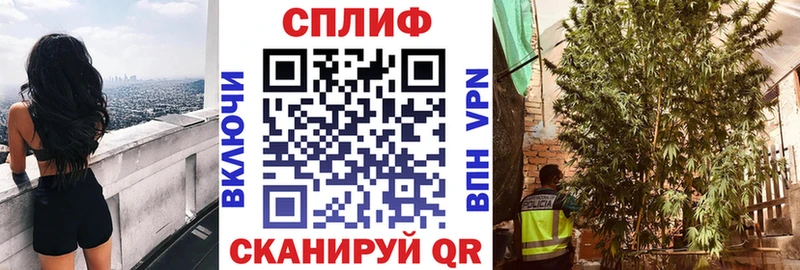 darknet Telegram  Гороховец  Бошки марихуана VHQ  kraken  